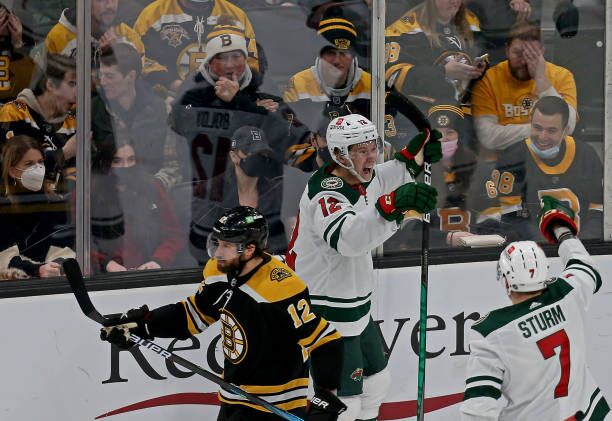 Bruins